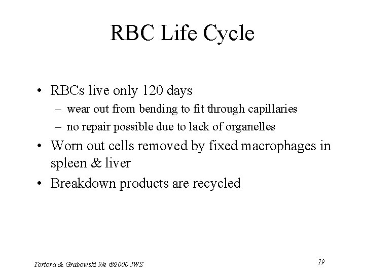 RBC Life Cycle • RBCs live only 120 days – wear out from bending