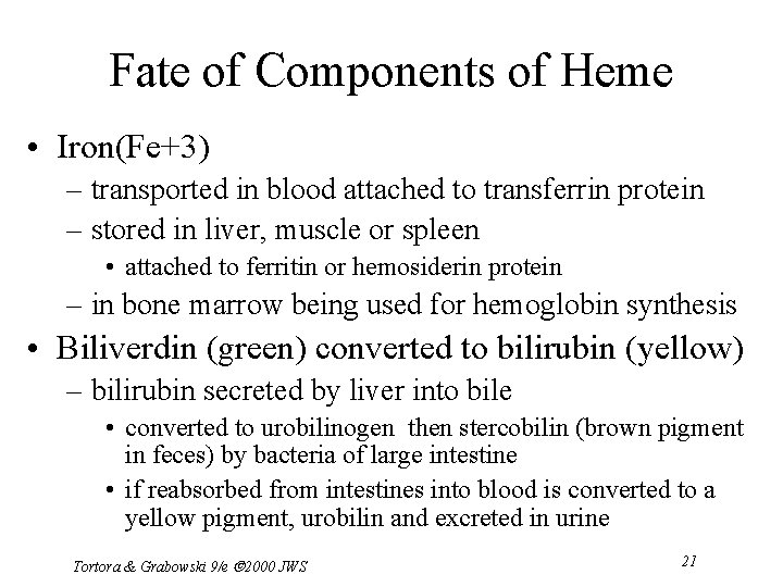 Fate of Components of Heme • Iron(Fe+3) – transported in blood attached to transferrin