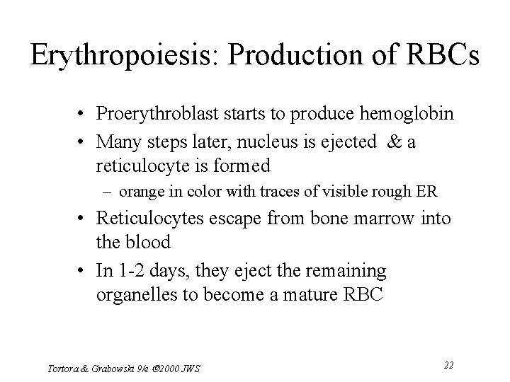 Erythropoiesis: Production of RBCs • Proerythroblast starts to produce hemoglobin • Many steps later,