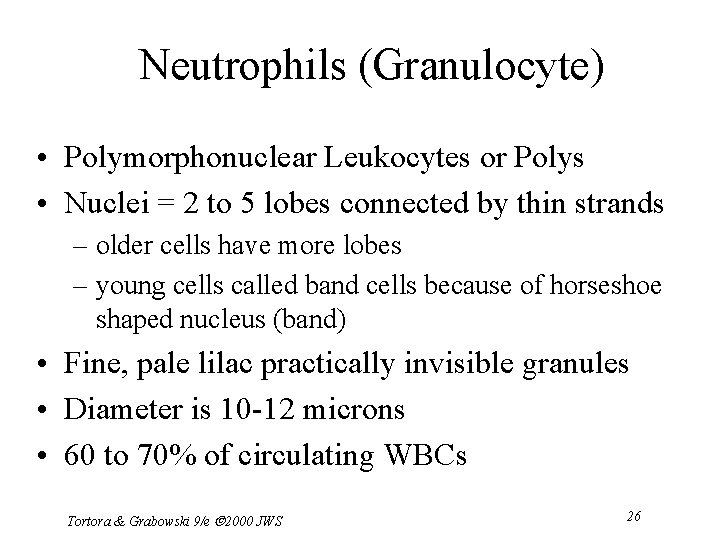 Neutrophils (Granulocyte) • Polymorphonuclear Leukocytes or Polys • Nuclei = 2 to 5 lobes