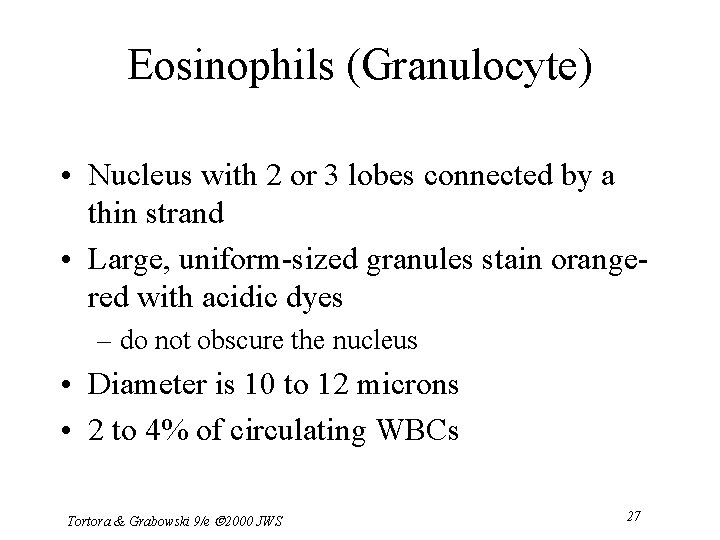 Eosinophils (Granulocyte) • Nucleus with 2 or 3 lobes connected by a thin strand