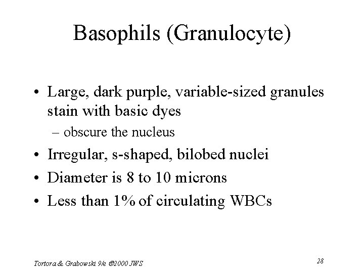 Basophils (Granulocyte) • Large, dark purple, variable-sized granules stain with basic dyes – obscure