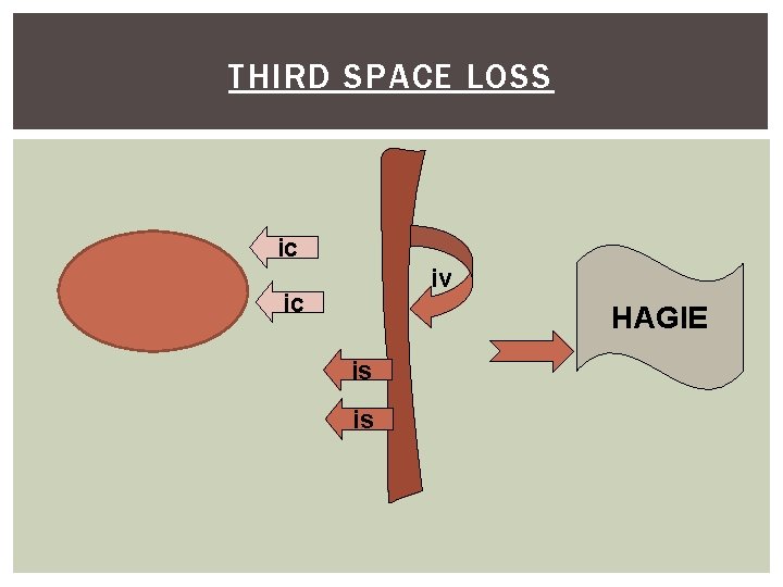 THIRD SPACE LOSS ic iv ic HAGIE is is 