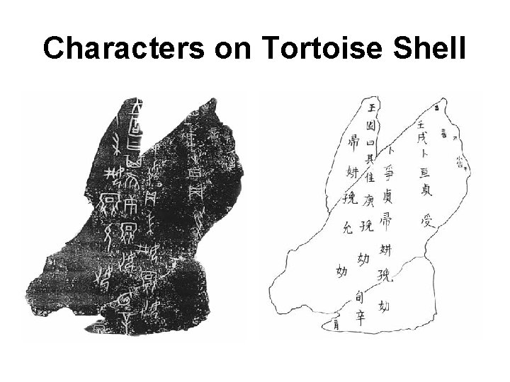 Characters on Tortoise Shell Characters on Tortoise Shell