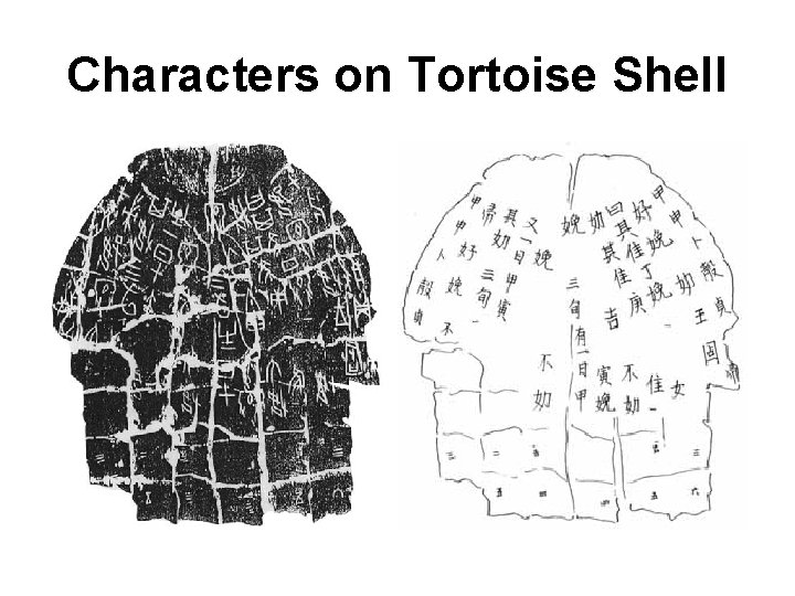 Characters on Tortoise Shell Characters on Tortoise Shell