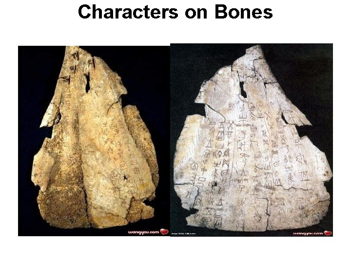 Characters on Bones Characters on Bones