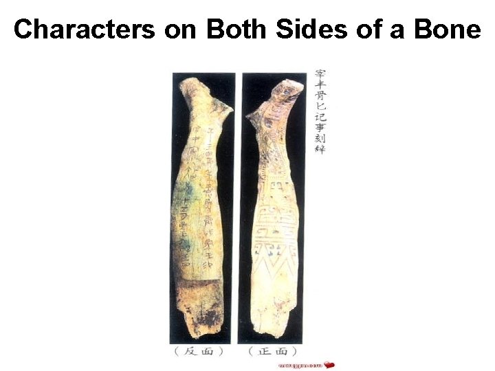 Characters on Both Sides of a Bone Characters on Both Sides of a Bone