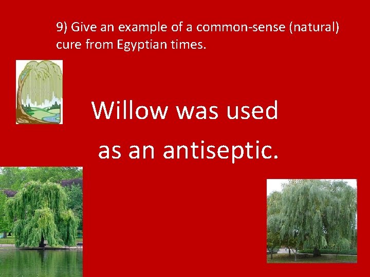 9) Give an example of a common-sense (natural) cure from Egyptian times. Willow was