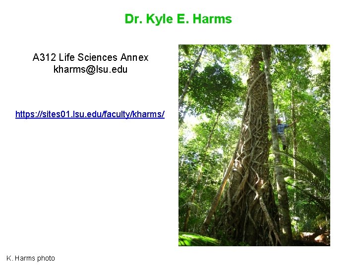 Dr. Kyle E. Harms A 312 Life Sciences Annex kharms@lsu. edu https: //sites 01.