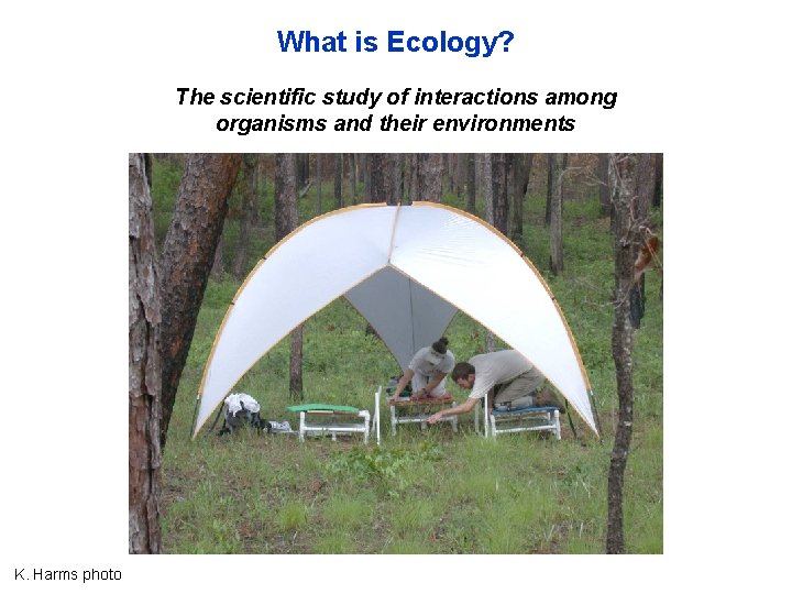 What is Ecology? The scientific study of interactions among organisms and their environments K.