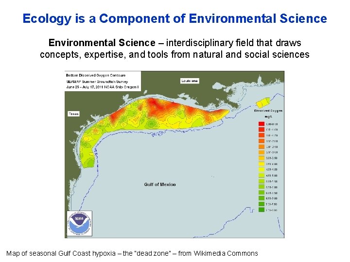 Ecology is a Component of Environmental Science – interdisciplinary field that draws concepts, expertise,