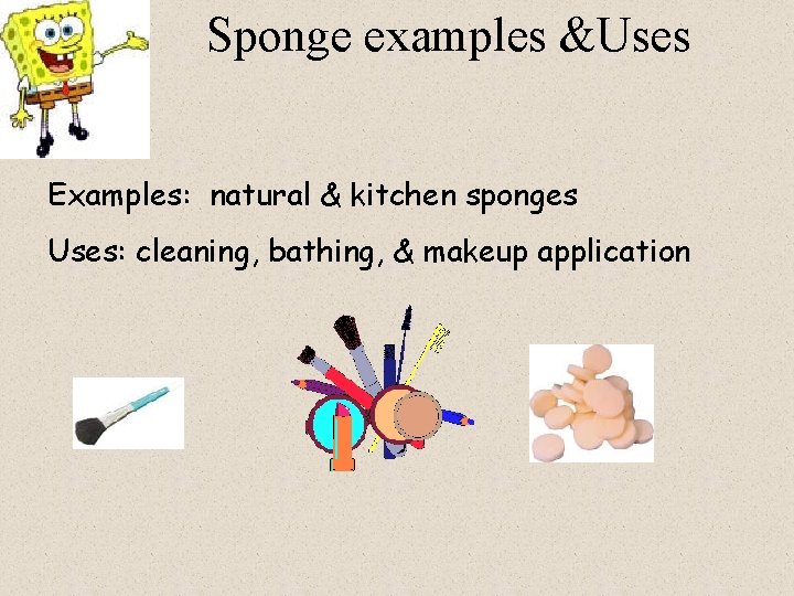 Sponge examples &Uses Examples: natural & kitchen sponges Uses: cleaning, bathing, & makeup application