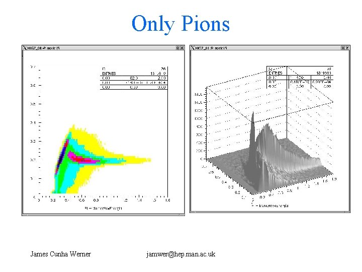 Only Pions James Cunha Werner jamwer@hep. man. ac. uk 