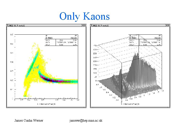 Only Kaons James Cunha Werner jamwer@hep. man. ac. uk 
