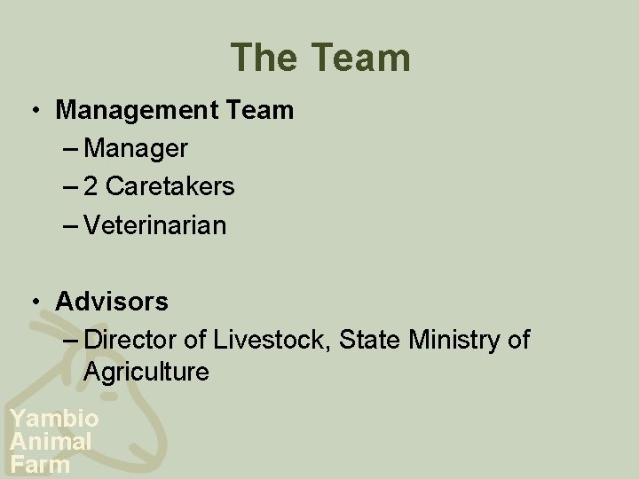 The Team • Management Team – Manager – 2 Caretakers – Veterinarian • Advisors