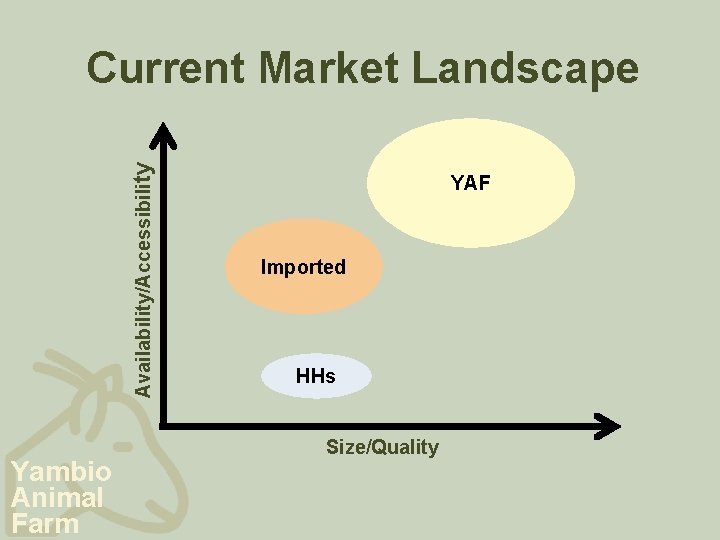 Availability/Accessibility Current Market Landscape Yambio Animal Farm YAF Imported HHs Size/Quality 