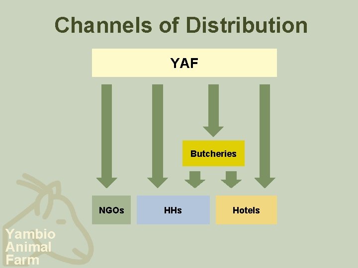 Channels of Distribution YAF Butcheries NGOs Yambio Animal Farm HHs Hotels 