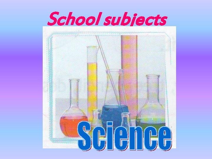 School subjects 
