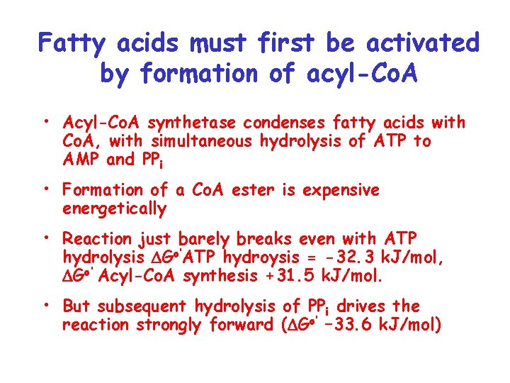 Fatty acids must first be activated by formation of acyl-Co. A • Acyl-Co. A