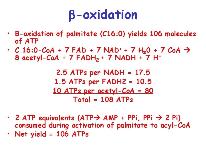  -oxidation • B-oxidation of palmitate (C 16: 0) yields 106 molecules of ATP
