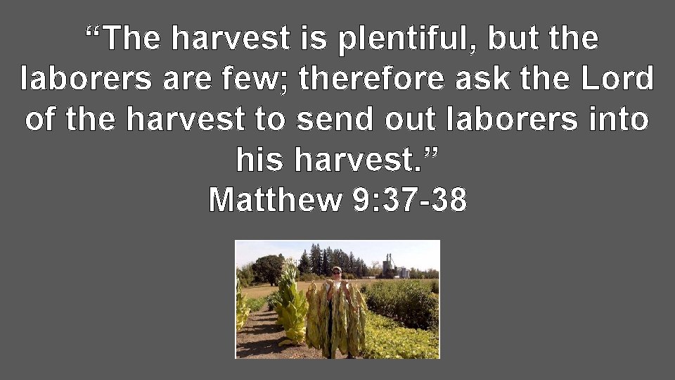 “The harvest is plentiful, but the laborers are few; therefore ask the Lord of