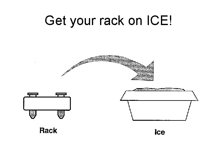 Get your rack on ICE! 