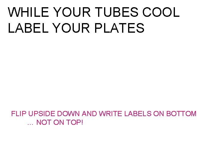 WHILE YOUR TUBES COOL LABEL YOUR PLATES FLIP UPSIDE DOWN AND WRITE LABELS ON