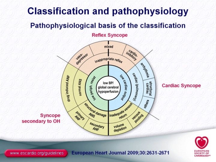 www. escardio. org/guidelines 