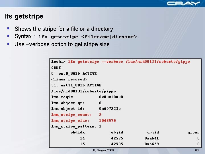 lfs getstripe § Shows the stripe for a file or a directory § Syntax