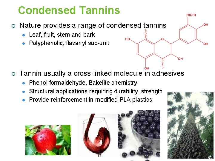 Condensed Tannins ¡ Nature provides a range of condensed tannins l l ¡ Leaf,