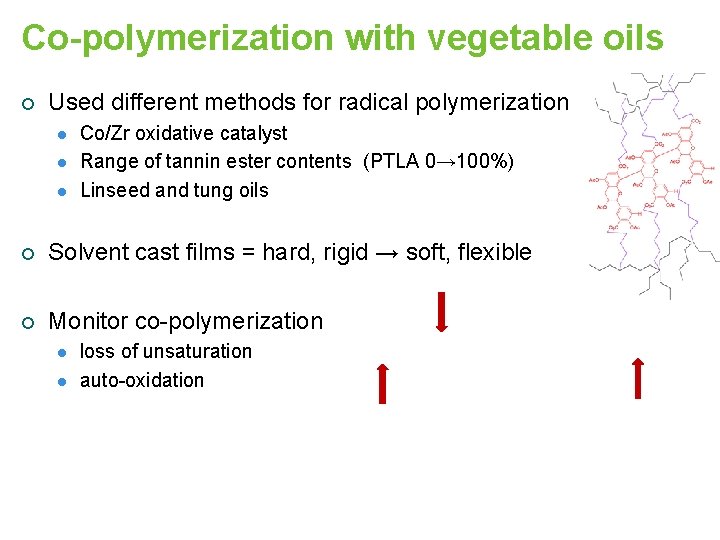 Co-polymerization with vegetable oils ¡ Used different methods for radical polymerization l l l