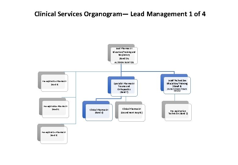 Clinical Services Organogram— Lead Management 1 of 4 Lead Pharmacist Education/Training and Respiratory (Band