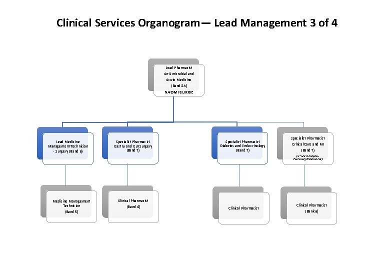 Clinical Services Organogram— Lead Management 3 of 4 Lead Pharmacist Anti-microbial and Acute Medicine