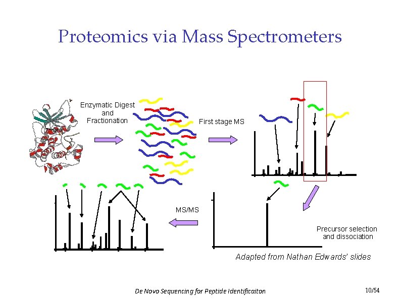 Proteomics via Mass Spectrometers Enzymatic Digest and Fractionation First stage MS MS/MS Precursor selection