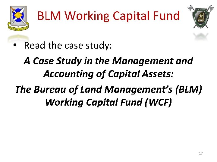 BLM Working Capital Fund • Read the case study: A Case Study in the