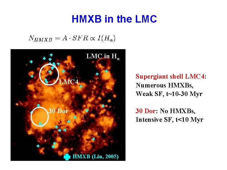 HMXB in the LMC in Нα LMC 4 Supergiant shell LMC 4: Numerous HMXBs,