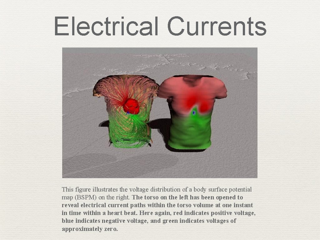 Electrical Currents This figure illustrates the voltage distribution of a body surface potential map