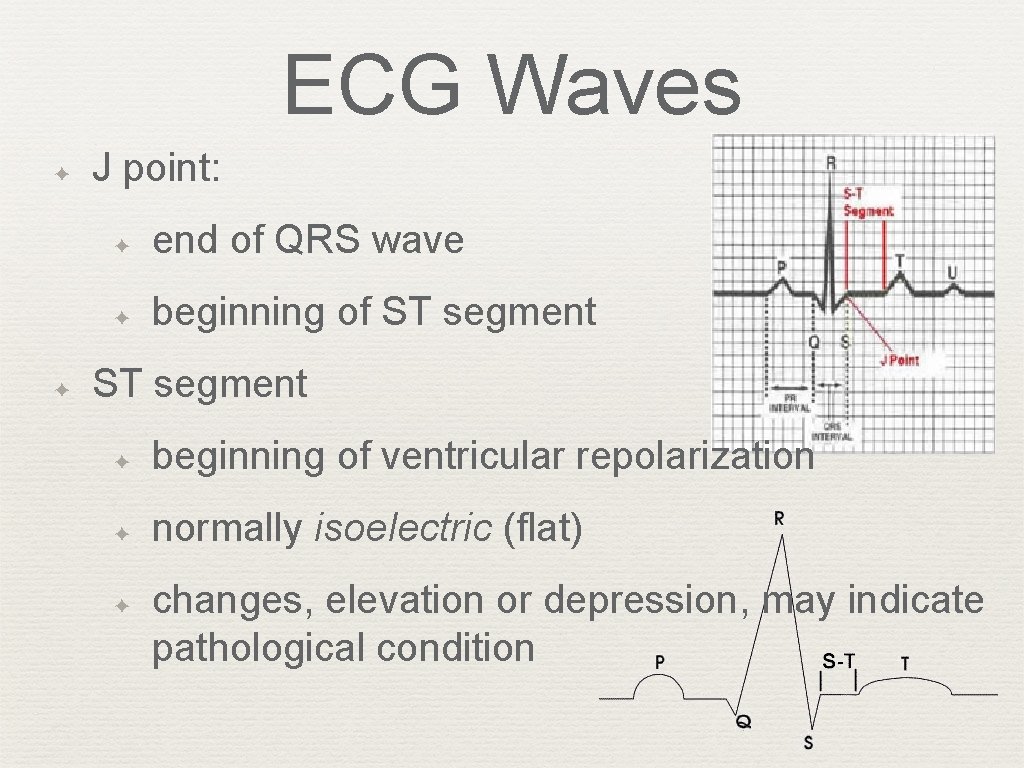 ECG Waves ✦ ✦ J point: ✦ end of QRS wave ✦ beginning of