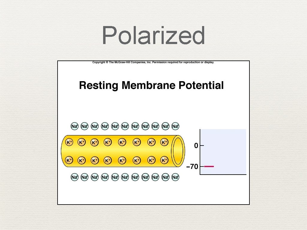 Polarized 