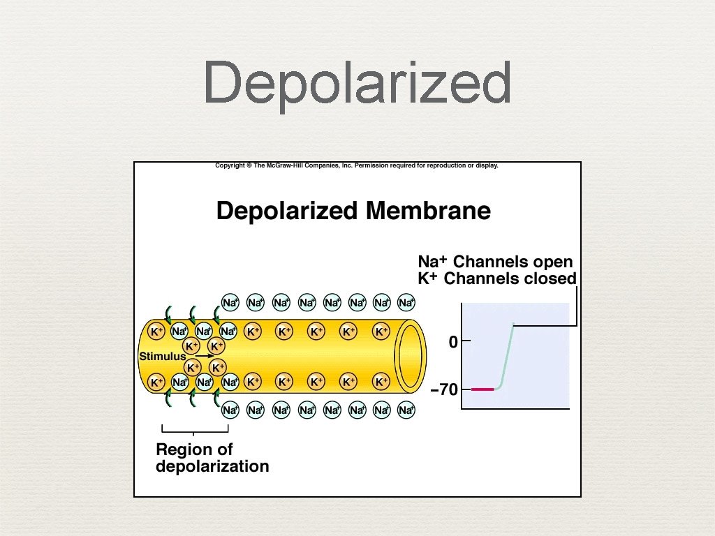 Depolarized 