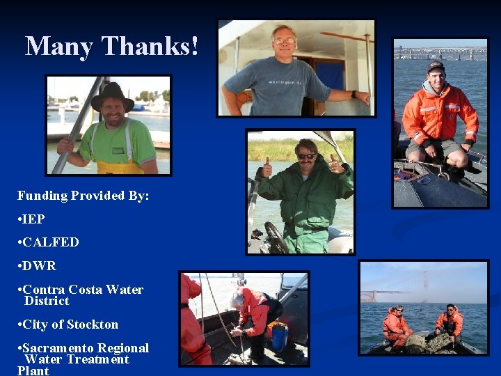 Many Thanks! Funding Provided By: • IEP • CALFED • DWR • Contra Costa