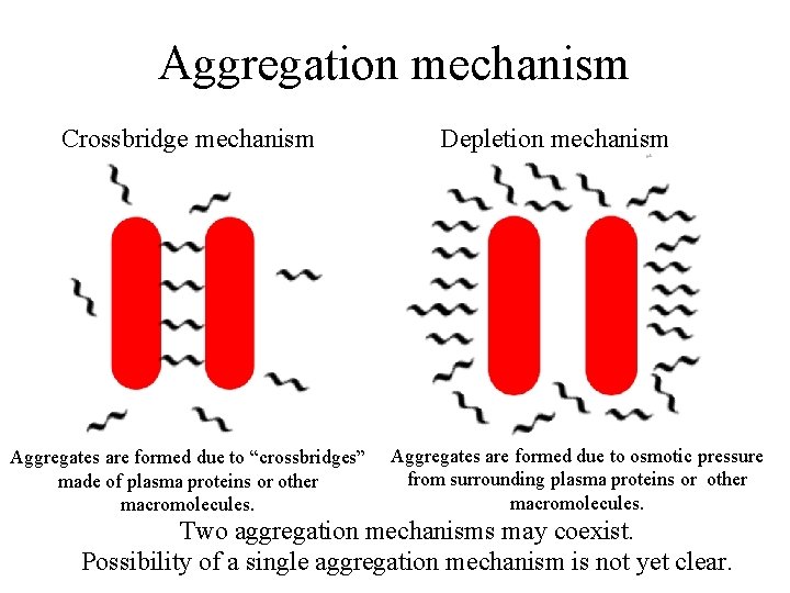 Aggregation mechanism Crossbridge mechanism Aggregates are formed due to “crossbridges” made of plasma proteins