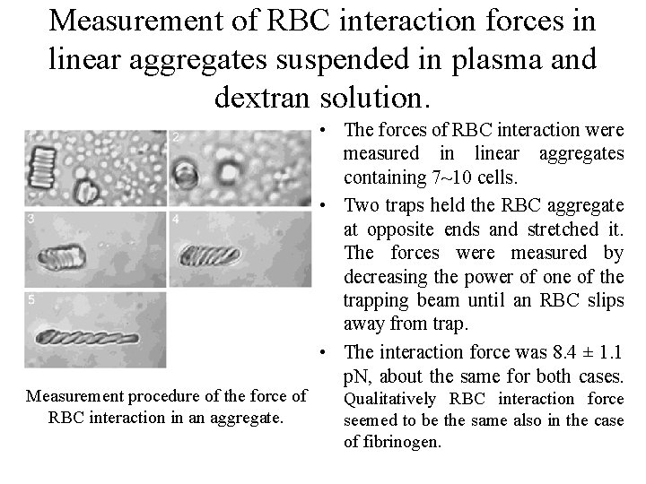 Measurement of RBC interaction forces in linear aggregates suspended in plasma and dextran solution.