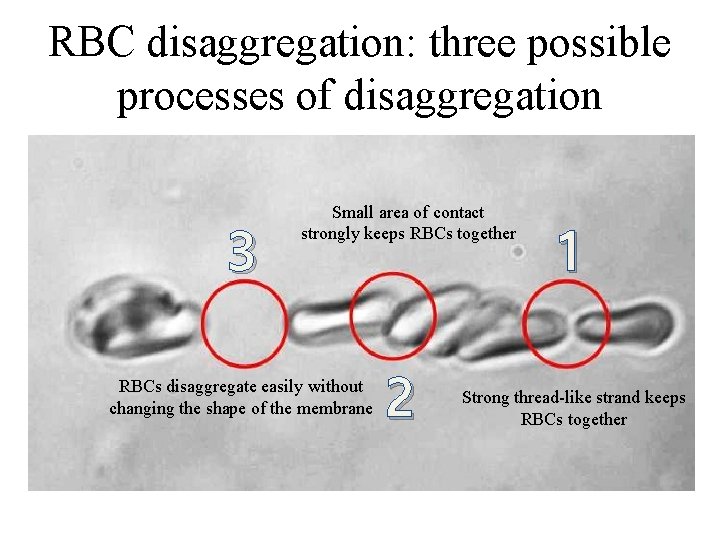 RBC disaggregation: three possible processes of disaggregation 3 Small area of contact strongly keeps