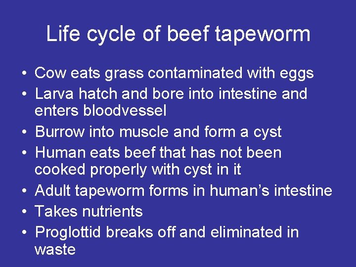 Life cycle of beef tapeworm • Cow eats grass contaminated with eggs • Larva Life cycle of beef tapeworm • Cow eats grass contaminated with eggs • Larva