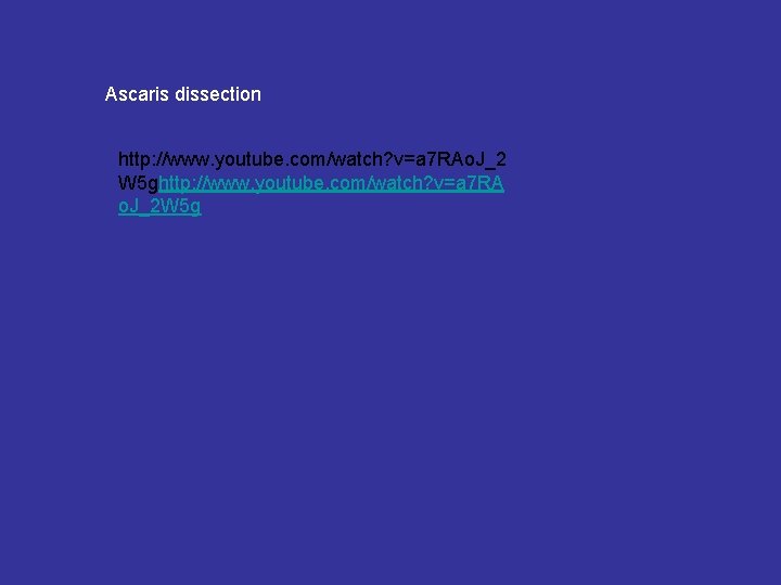 Ascaris dissection http: //www. youtube. com/watch? v=a 7 RAo. J_2 W 5 ghttp: //www. Ascaris dissection http: //www. youtube. com/watch? v=a 7 RAo. J_2 W 5 ghttp: //www.