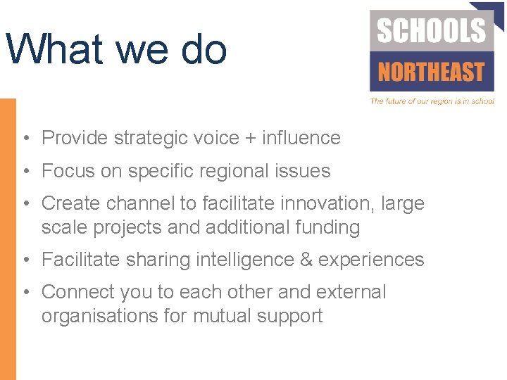 What we do • Provide strategic voice + influence • Focus on specific regional