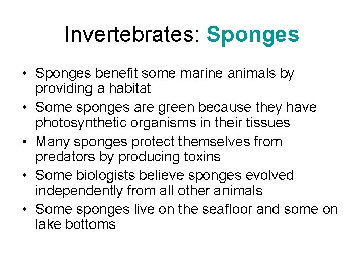 Invertebrates: Sponges • Sponges benefit some marine animals by providing a habitat • Some