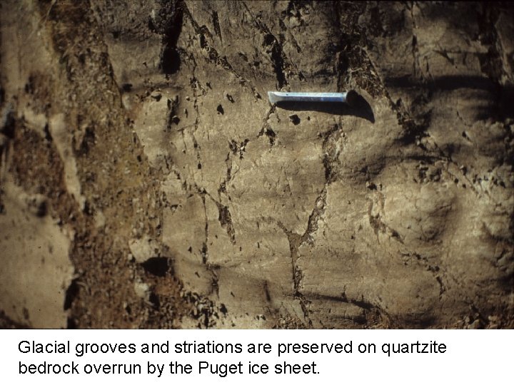 Glacial grooves and striations are preserved on quartzite bedrock overrun by the Puget ice