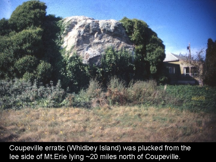 Coupeville erratic (Whidbey Island) was plucked from the lee side of Mt. Erie lying